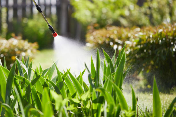24/7 Emergency Mosquito Control experts in Pacifica, CA