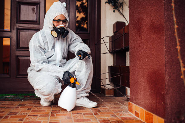 Reliable Mosquito Control contractor in Pacifica, CA by Show Me Pest Control
