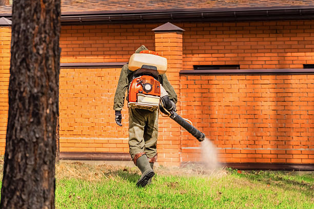 Top rated local Mosquito Control specialists in Pacifica, CA
